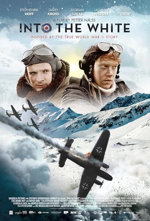 Into the White film posteri